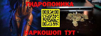 спиды Будённовск